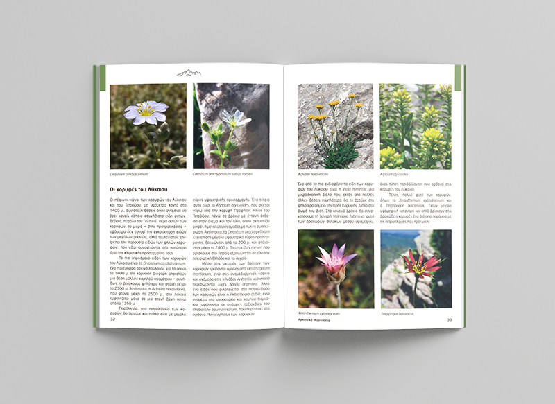 mainalos_book-in2_mockup_6-800px.jpg